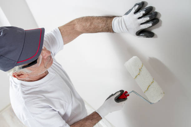 Best Black Mold Removal  in Filer, ID