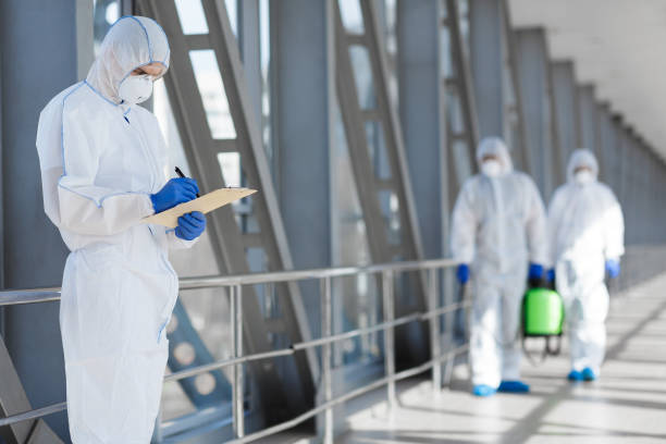 Best Residential Mold Inspection & Testing  in Filer, ID