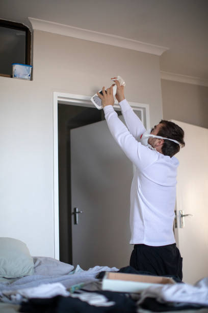 Best Mold Odor Removal Services  in Filer, ID