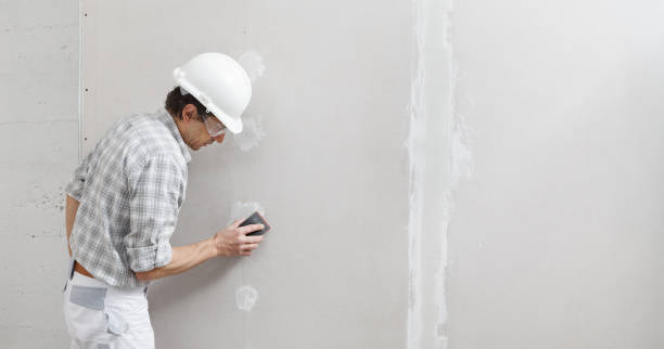 Best Basement Mold Removal  in Filer, ID