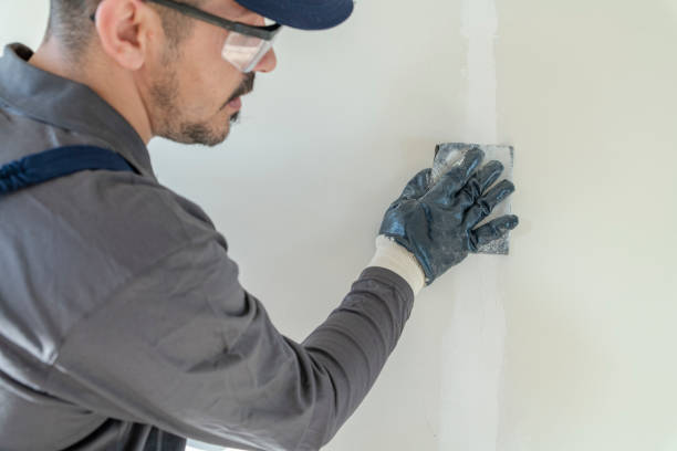 Best Forensic Mold Investigation  in Filer, ID