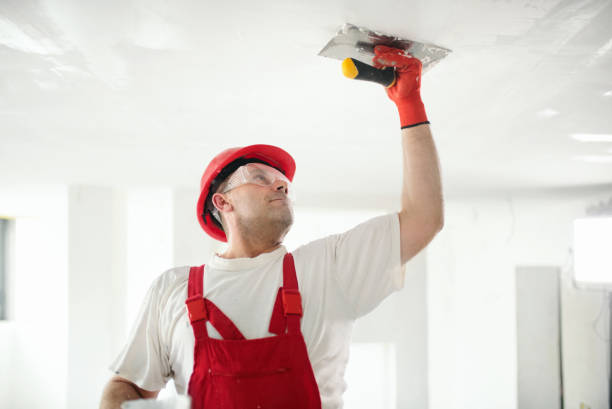 Best Real Estate Mold Inspection  in Filer, ID