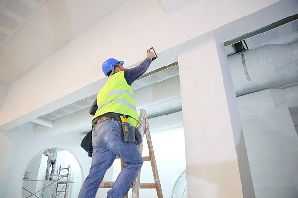 Best Mold Damage Restoration  in Filer, ID