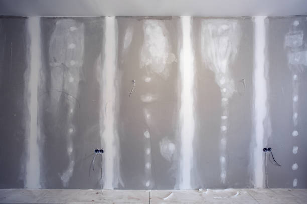 Best Mold Odor Removal Services  in Filer, ID